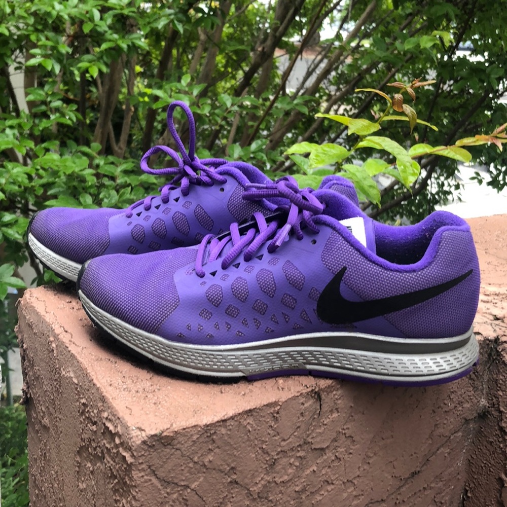 NIKE Pegasus 31 - Hydro Repel